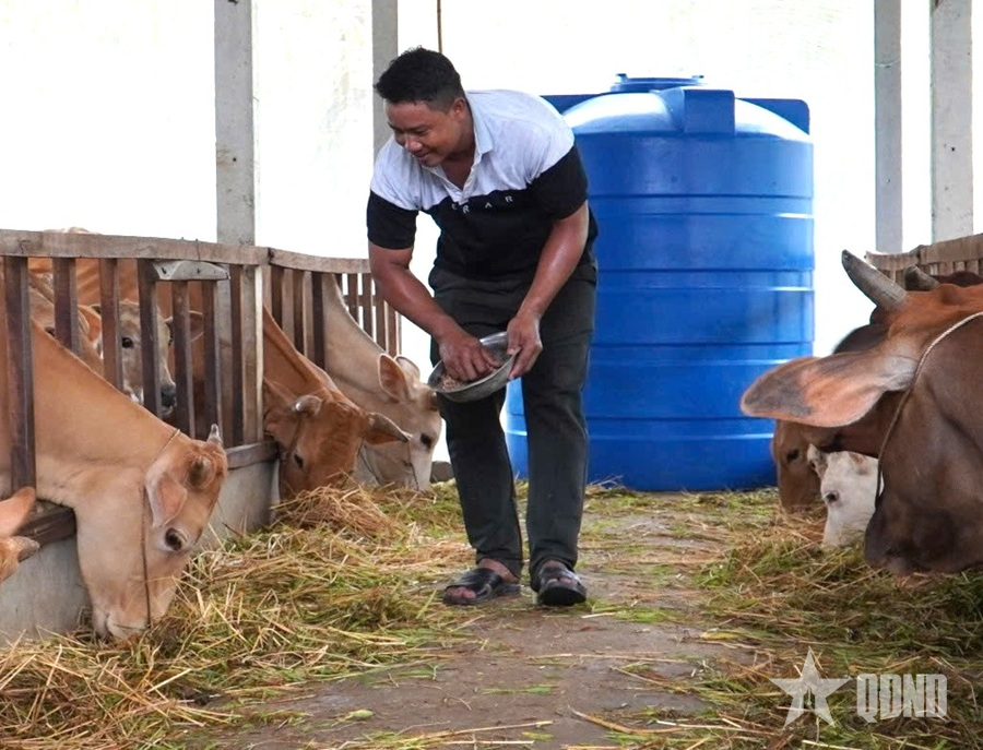 Cựu chiến binh chịu khó lao động, làm giàu